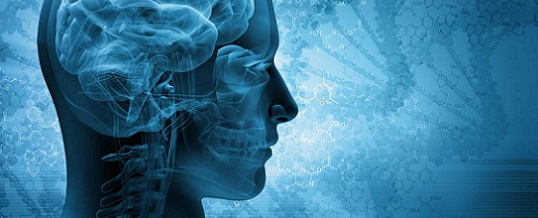 Spinal health is Brain health, say New Zealand Chiropractors